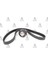 GKFD005 GKFD005 Triger Seti Focusfiestamazda 2S40 04-12 1,4 16V1,6 16V Benzinli (117 Dıs) 1