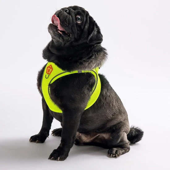 Neon Sarı Air-mesh Göğüs Tasması Kedi Köpek Göğüs Tasması