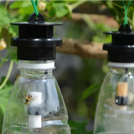 Guangdong Spirit Meyve Sineği Tuzağı Öldürücü Plastik Drosophila Tuzağı Çekici Podazz ile Sinek Yakalayıcı (Yurt Dışından)