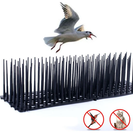 Guangdong Spirit Kuş Sivri Çitleri Kedi Defender Kuşları Uzak Tutmak Için Plastik Çit Duvar Sivri Uçları Podazz (Yurt Dışından)