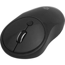 Frısby FM-252WM Kablosuz Mouse