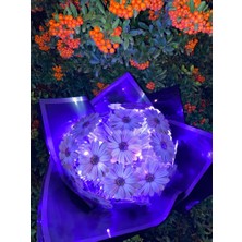 Alsa Shop Ledli Papatya Buketi (Mor)