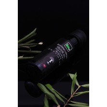 TheBRo Naturel Sızma Soğuk Sıkım Zeytinyağı 100ML Deneme Boyu