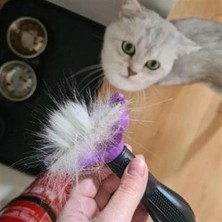 Pet Miyav Kısa Tüylü Kedi Tarağı 45 kg Ye Kadar