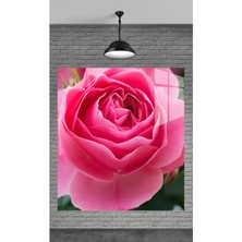 Meta Cam Muhteşem Pembe Gül Temperli Cam Üzerine Tablo Sevgilinize Yılbaşı Hediye