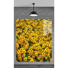 Meta Cam Sarı Papatyalar Temperli Cam Üzerine Tablo Sevgilinize Yılbaşı Hediye