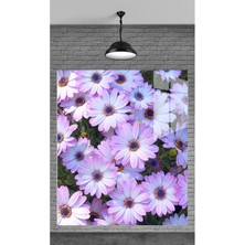 Meta Cam Muhteşem Beyaz Çiçekler Temperli Cam Üzerine Tablo Sevgilinize Yılbaşı Hediye