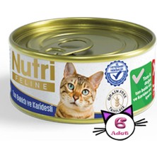 Nutri Feline 85 gr Ton Balıklı ve Karidesli 6 Adet Yaş Kedi Maması