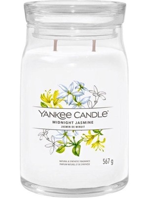 Yankee Candle 1630688E Büyük Mum Midnight Jasmine