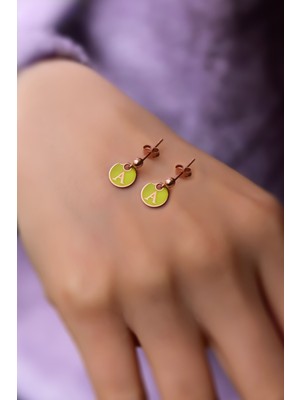 Sinsirella 925 Ayar Gümüş Kaplama Mineli Harf Çivili Küpe