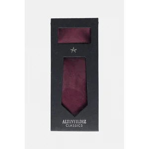 Altınyıldız Classics Kravat-Mendil Set