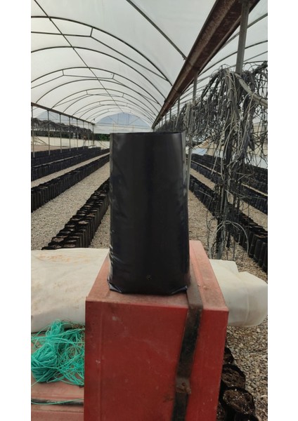 Fidan Poşeti-Fidan Torbası (30'lu) fırsatları