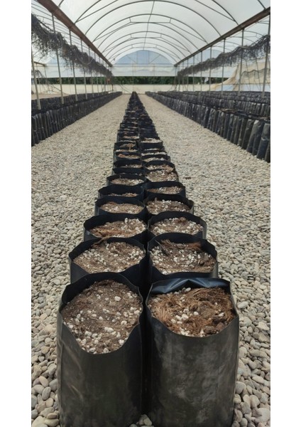 Fidan Poşeti-Fidan Torbası (30'lu) indirimleri