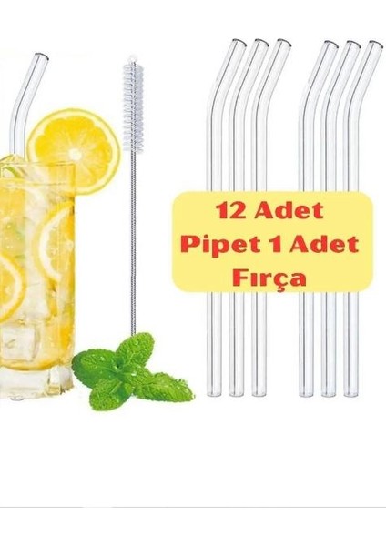 12 Adet- 20CM Boyunda Cam Pipet ve 1 Adet Pipet Temizleme Fırçası Seti 1.kalite 9mm. HY-12PIPET