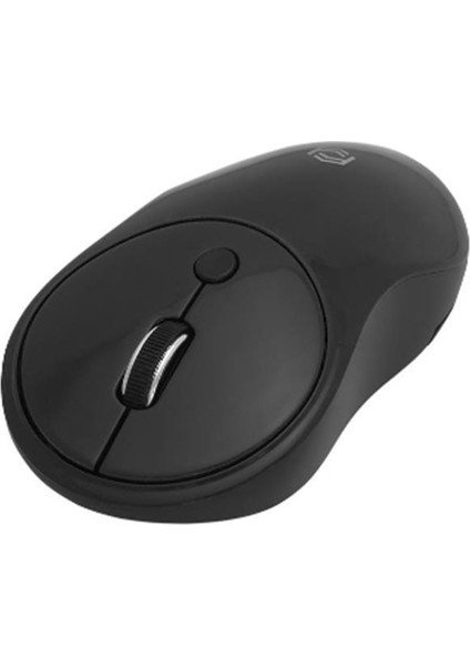 Frısby FM-252WM Kablosuz Mouse