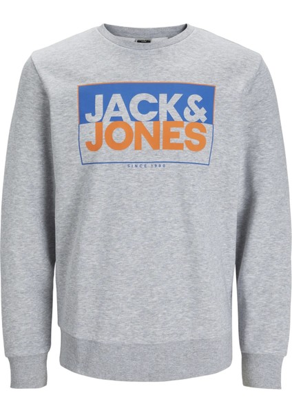 Jcobox Sweat Crew Neck Fst Grımelanj