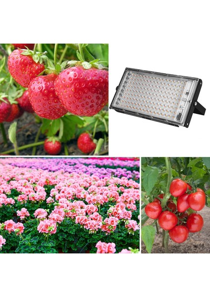 LED Büyümek Işık 200W Tam Spektrum Bitki Işıkları 180-240V Projektör Çiçek Fideleri Bitki Yetiştirme Için Phytolamp-Ingiltere Tak (Yurt Dışından) fiyatları
