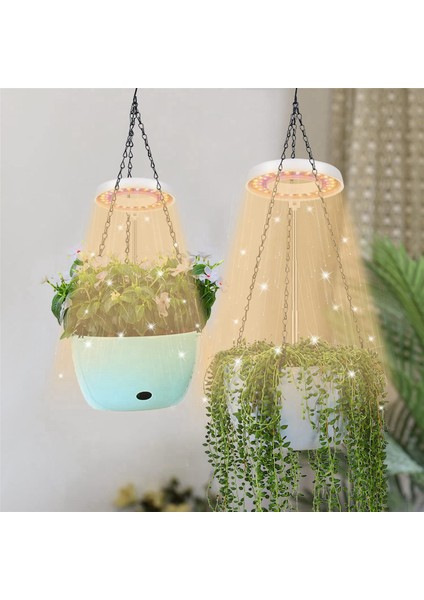 2x LED Büyümek Işık, Büyüyen Kapalı Bitkiler Için Halo Bitki Lambası, Otomatik Zamanlayıcı 4/8/12/18 Saat, Bonsai Succulents Küçük Bitkiler Için (Yurt Dışından)