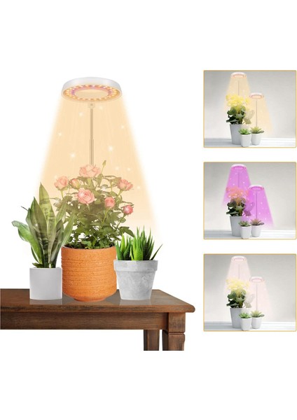 2x LED Büyümek Işık, Büyüyen Kapalı Bitkiler Için Halo Bitki Lambası, Otomatik Zamanlayıcı 4/8/12/18 Saat, Bonsai Succulents Küçük Bitkiler Için (Yurt Dışından)