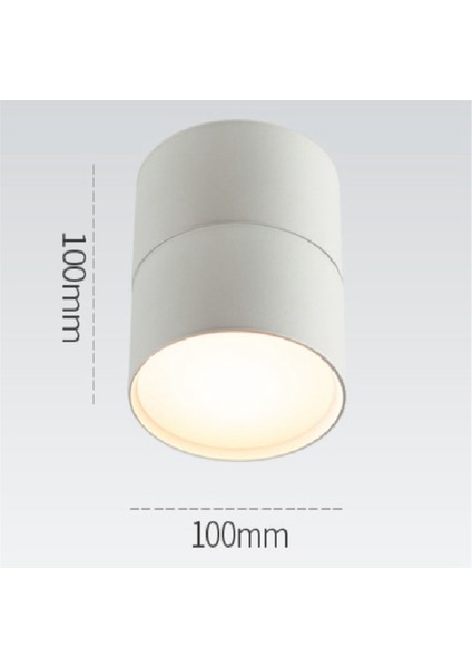 4000K Nötr Işık LED Downlight 12W Yüzeye Monte Döner Katlanır Tavan Lambası Evrensel Koridor Koridor Işığı-A (Yurt Dışından)