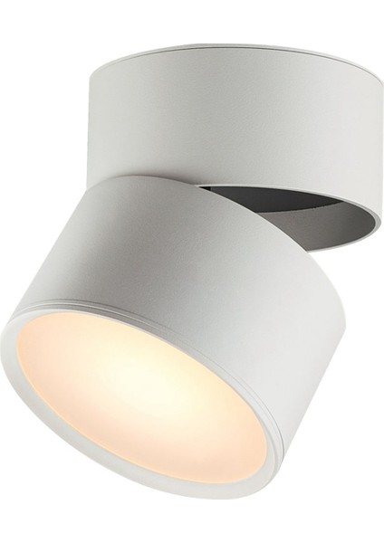 4000K Nötr Işık LED Downlight 12W Yüzeye Monte Döner Katlanır Tavan Lambası Evrensel Koridor Koridor Işığı-A (Yurt Dışından)