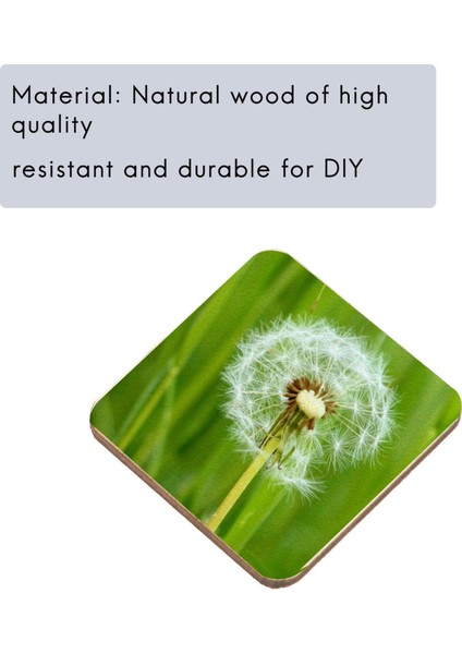 50 Adet Kendin Yap Kare Dekoratif Ahşap Dilim (Yurt Dışından) modelleri