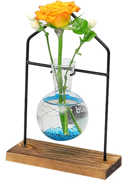 Masaüstü Bitki Yayılım Istasyonları, Topraksız Bitki Çiçek Dekorasyon Vazo, Cam Şeffaf Oturma Odası Ev Vazo 1 (Yurt Dışından)