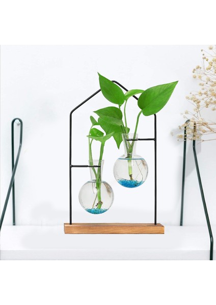 Masaüstü Bitki Yayılım Istasyonları, Topraksız Bitki Çiçek Dekorasyon Vazo, Cam Şeffaf Oturma Odası Ev Vazo 1 (Yurt Dışından) fiyatları