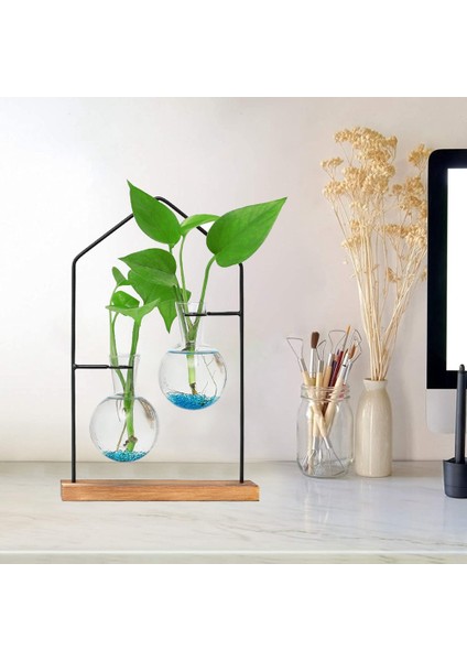 Masaüstü Bitki Yayılım Istasyonları, Topraksız Bitki Çiçek Dekorasyon Vazo, Cam Şeffaf Oturma Odası Ev Vazo 1 (Yurt Dışından) modelleri
