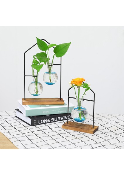 Masaüstü Bitki Yayılım Istasyonları, Topraksız Bitki Çiçek Dekorasyon Vazo, Cam Şeffaf Oturma Odası Ev Vazo 1 (Yurt Dışından) fırsatları