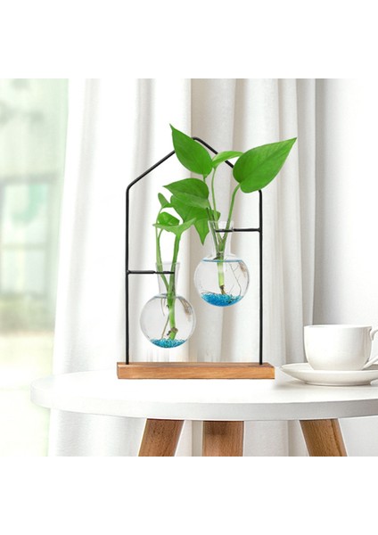 Masaüstü Bitki Yayılım Istasyonları, Topraksız Bitki Çiçek Dekorasyon Vazo, Cam Şeffaf Oturma Odası Ev Vazo 1 (Yurt Dışından) indirimleri