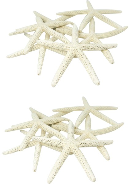 24PCS Beyaz Parmak Denizyıldızı 5-10CM Dekoratif Beş Parmak Denizyıldızı (Yurt Dışından)