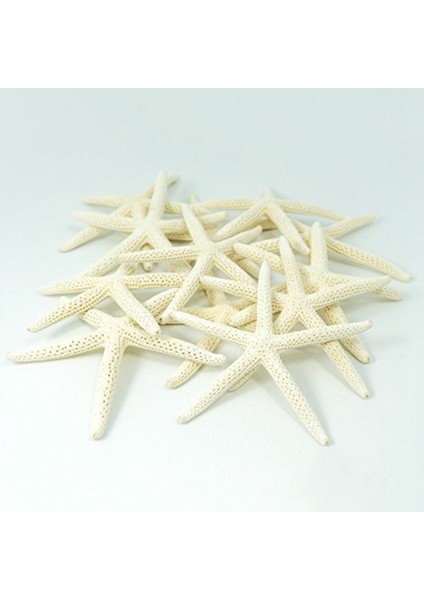 24PCS Beyaz Parmak Denizyıldızı 5-10CM Dekoratif Beş Parmak Denizyıldızı (Yurt Dışından) modelleri