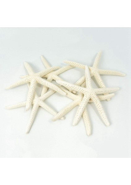 24PCS Beyaz Parmak Denizyıldızı 5-10CM Dekoratif Beş Parmak Denizyıldızı (Yurt Dışından) indirimleri