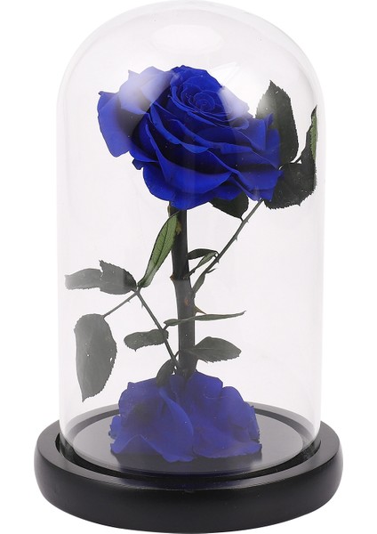 Cam Kapak Korunmuş Gül Çiçek Dikenli Gül Flores Düğün Evlilik Ev Partisi Dekorasyon Sevgililer Günü Hediyesi Için Mavi (Yurt Dışından)