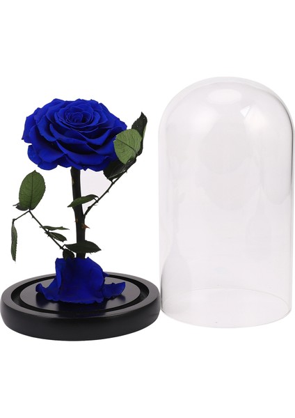 Cam Kapak Korunmuş Gül Çiçek Dikenli Gül Flores Düğün Evlilik Ev Partisi Dekorasyon Sevgililer Günü Hediyesi Için Mavi (Yurt Dışından)
