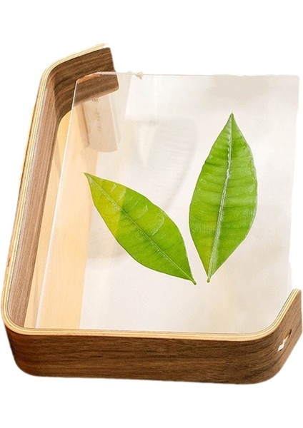 Akrilik Ahşap Resim Çerçevesi Herbaryum Ekran Çerçevesi Iskandinav Resim Çerçevesi Düğün Için Fotocard Ekran Standı Masa Deco A (Yurt Dışından)