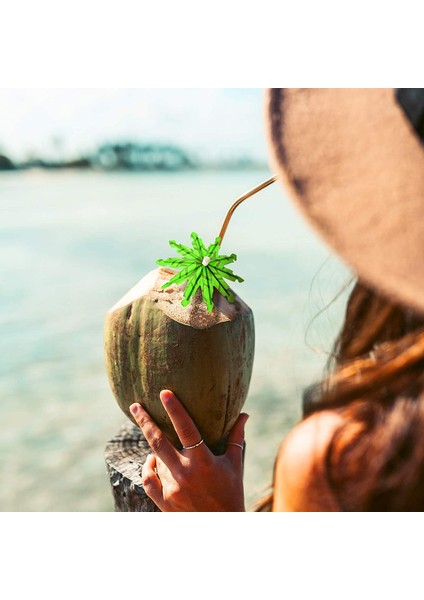 Yeşil Hindistan Cevizi Ağacı Kürdan Kağıt Şemsiye Kürdan Kokteyl Süslemeleri Için El Yapımı Kokteyl Şemsiye Çubukları (Yurt Dışından) modelleri