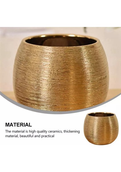 2x Seramik Saksı Ekici Benzersiz Altın Kaplama Yaratıcı Saksı Etli Saksı Çiçek Vazo Saksı (Yurt Dışından) fırsatları