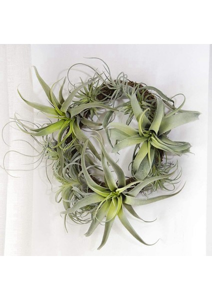8 Paket Yapay Ananas Çim Hava Bitkileri Sahte Çiçekler Sahte Akın Tillandsia Bromeliads Ev Bahçe Dekor (Yurt Dışından)