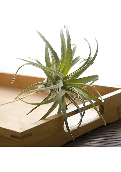 8 Paket Yapay Ananas Çim Hava Bitkileri Sahte Çiçekler Sahte Akın Tillandsia Bromeliads Ev Bahçe Dekor (Yurt Dışından)