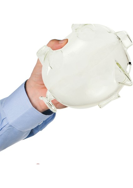 4x Kore Tv Dizisi Kumbara Para Bankası Borosilikat Cam Sevimli Kumbara Ev Mobilyaları (Yurt Dışından)