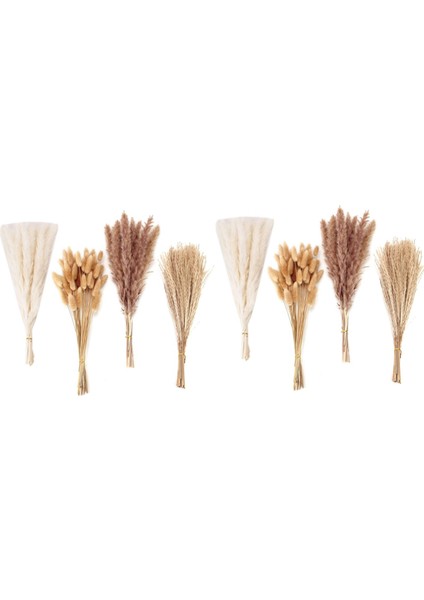 200 Adet Kurutulmuş Pampas Çim Dekor Pampas Çim Bunny Kuyrukları Kurutulmuş Çiçekler Kamış Çim Buket Düğün Parti Için Boho Dekor (Yurt Dışından)