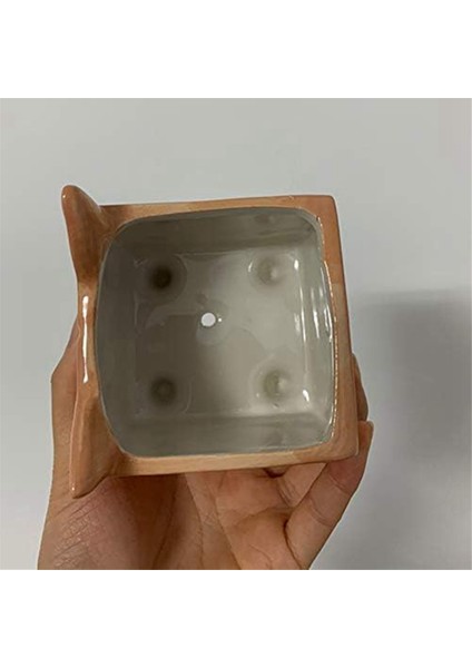 Sevimli Hayvan Corgi-Seramik Etli Ekici, Kaktüs Saksı Saksı Bitki Saksısı (Yurt Dışından) indirimleri