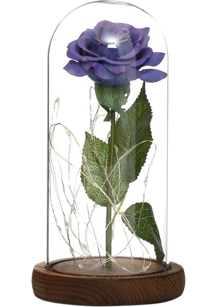 Yapay Ebedi Gül LED Işık Yapay Çiçekler Şişedeki Güzellik Gül Düğün Sevgililer Günü Hediyeleri (Mavi) (Yurt Dışından)