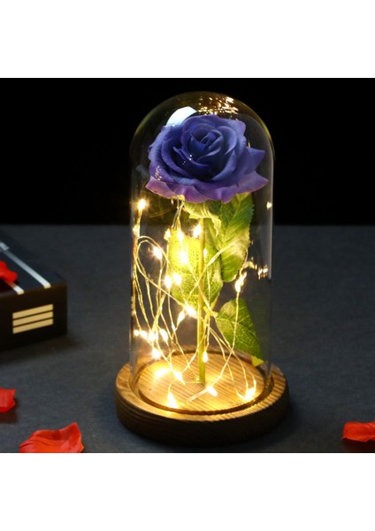 Yapay Ebedi Gül LED Işık Yapay Çiçekler Şişedeki Güzellik Gül Düğün Sevgililer Günü Hediyeleri (Mavi) (Yurt Dışından) fiyatları