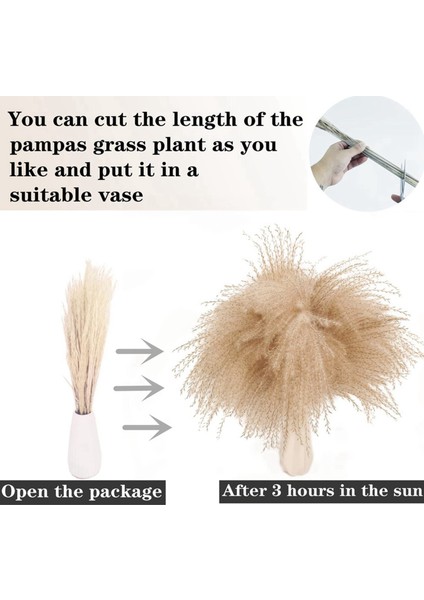 200 Adet Kurutulmuş Pampas Çim Dekor Pampas Çim Bunny Kuyrukları Kurutulmuş Çiçekler Kamış Çim Buket Düğün Parti Için Boho Dekor (Yurt Dışından) indirimleri