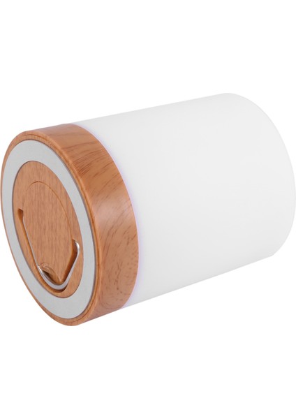 2x Gece Lambası, Yatak Odası Oturma Odası Için Dokunmatik Lamba Şarj Edilebilir Dahili ile Taşınabilir Masa Başucu Lambaları (Yurt Dışından)