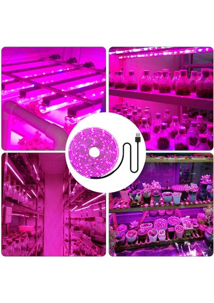 2x LED Büyümek Işık Tam Spektrum 5 V USB Büyümek Işık Şeridi 2835 LED Phyto Lambalar Sera Büyüyen Bitkiler Için 100 cm (Yurt Dışından)
