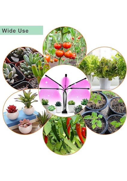 LED Büyümek Işık Zamanlayıcı Kısılabilir Tam Spektrum 5 Kafa Ampuller Esnek Klip Fito Lamba Fide Fito Lamba Ab Tak (Yurt Dışından) modelleri